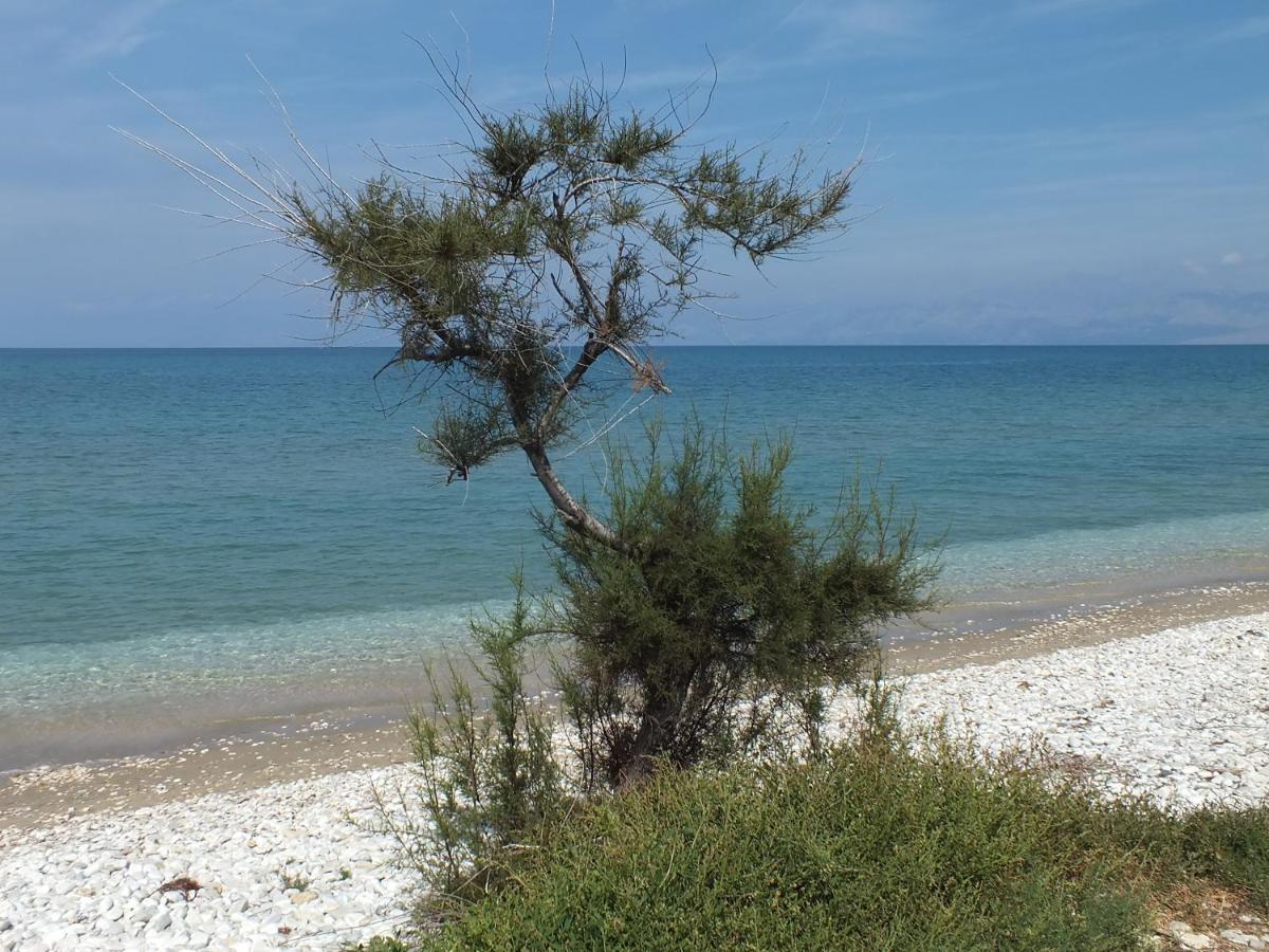 Frosos Beachfront Maisonette Acharavi Akharávi Eksteriør bilde